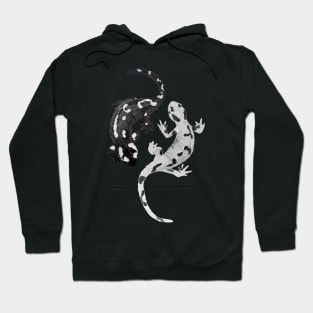 Two salamanders Hoodie